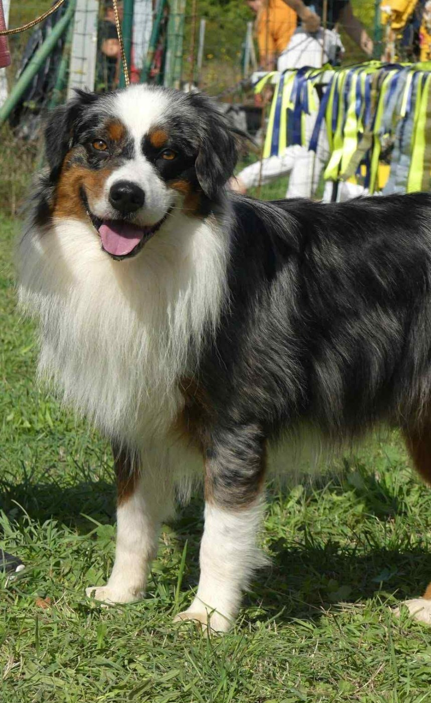 Uber eats For The Memory Of Mandy