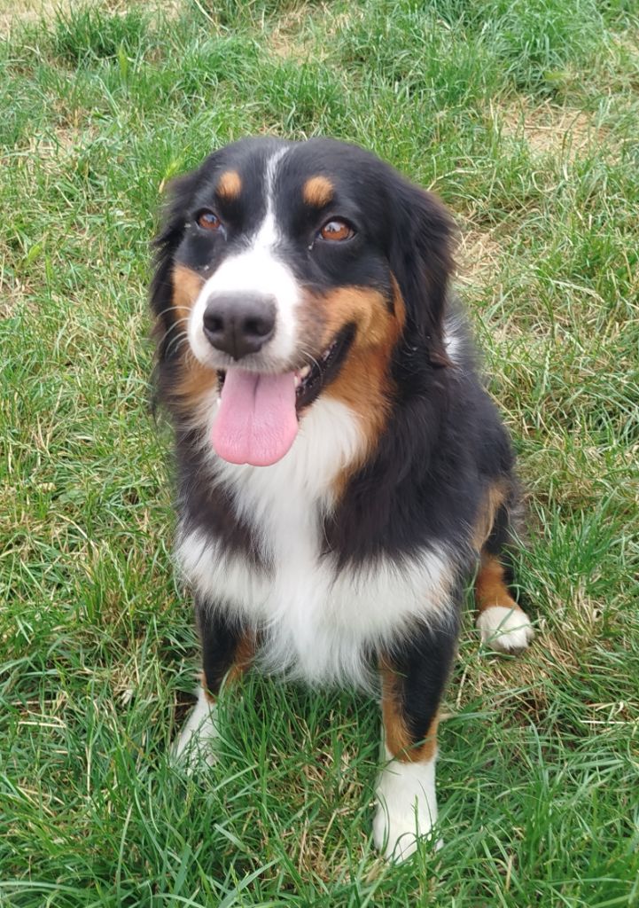 Ultym For The Memory Of Mandy